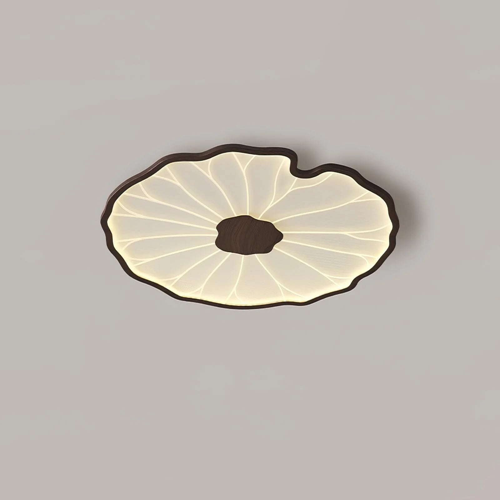 Moderna Lampada da Soffitto in Acrilico Lotus