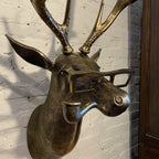 Decorazione da parete con testa di animale unica per la casa