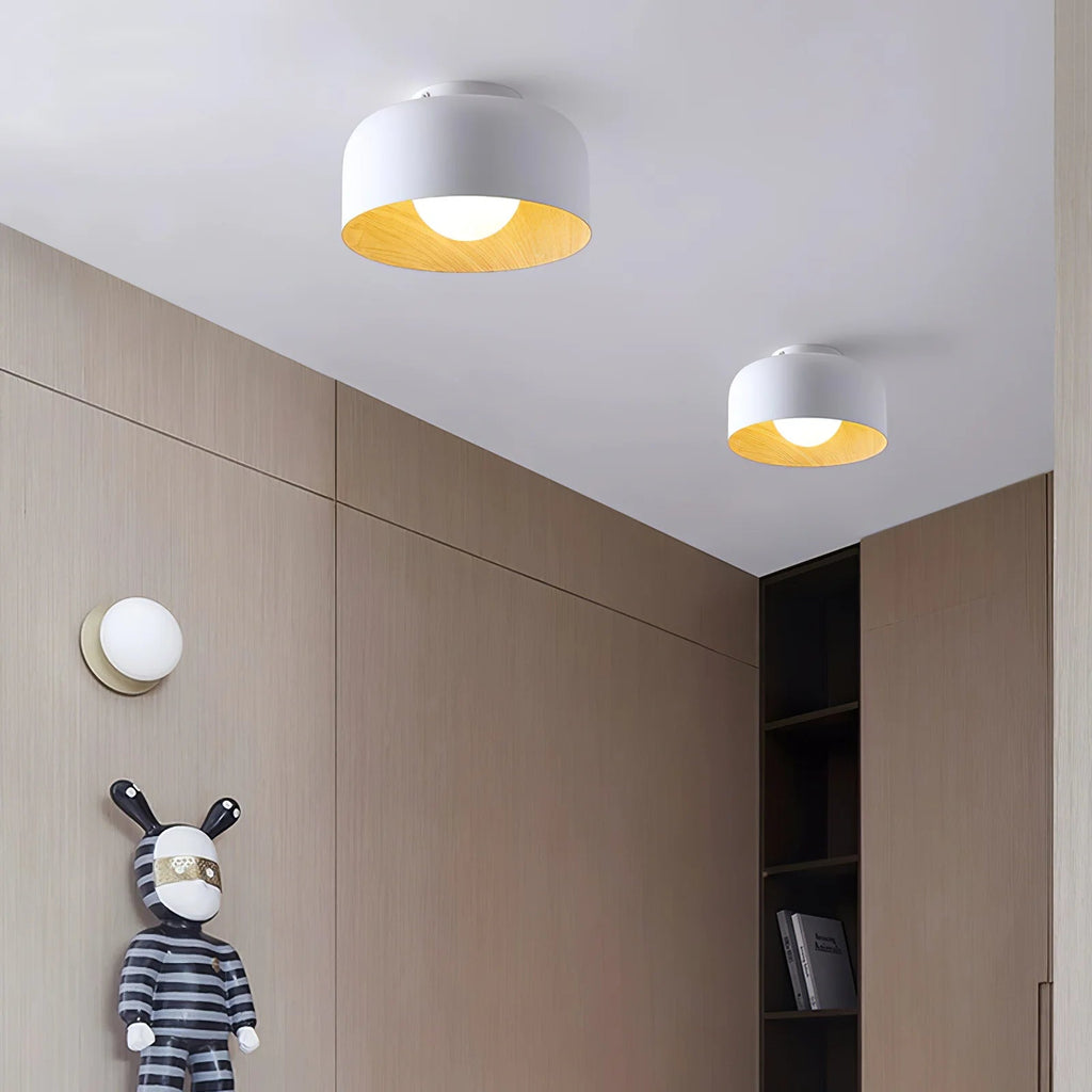 Lampada da soffitto in ferro a cupola semplice