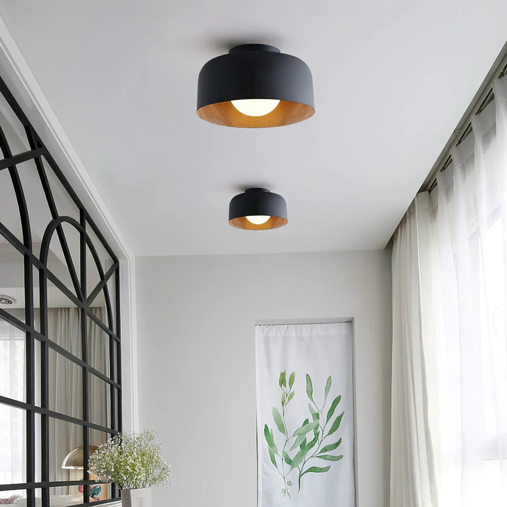 Lampada da soffitto in ferro a cupola semplice