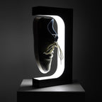 Lampada da Scarpe Fluttuante