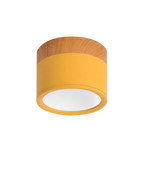 Lampada da soffitto Clairon