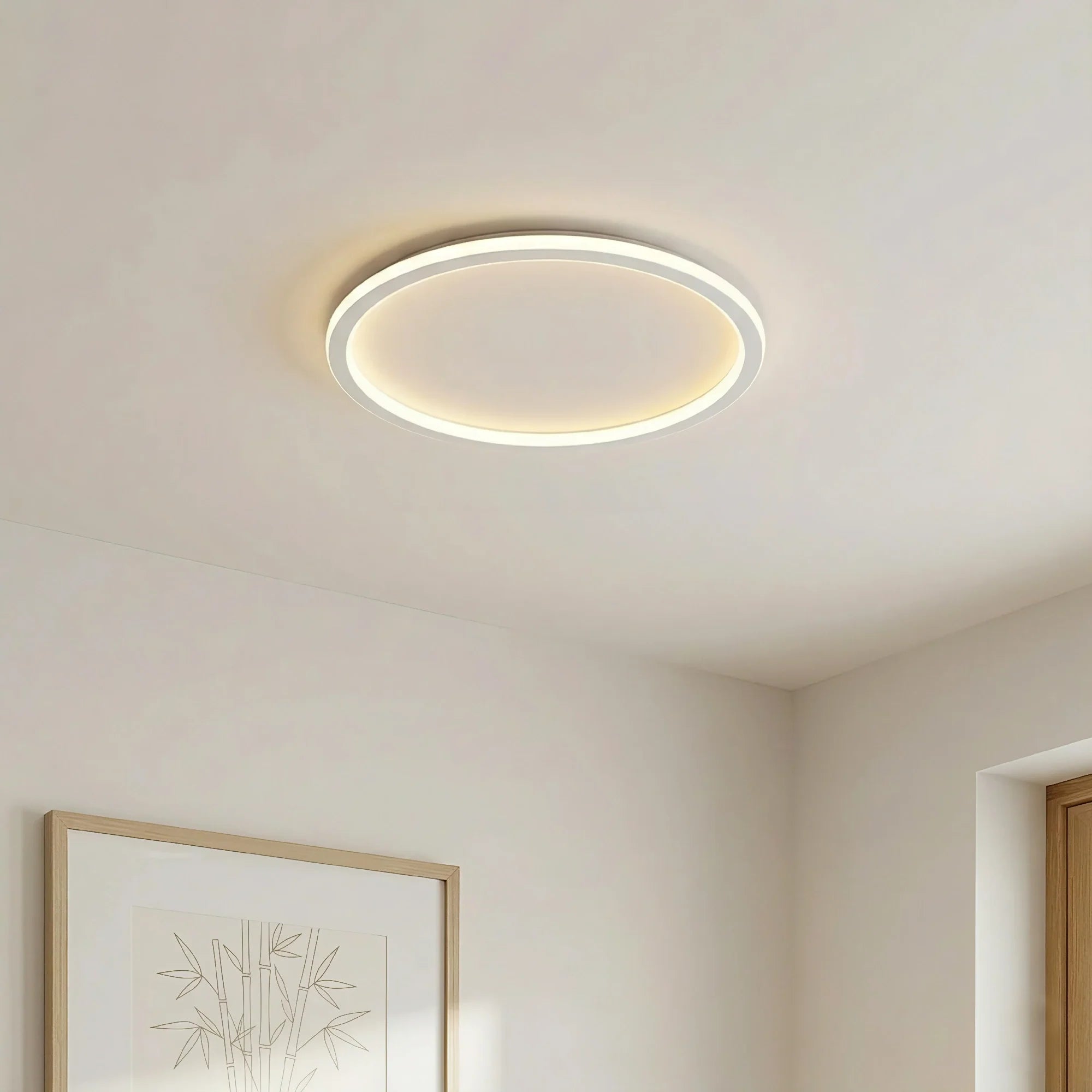 Lampade da soffitto rotonde chic