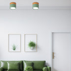 Lampada da soffitto LED cilindrica semplice nordica