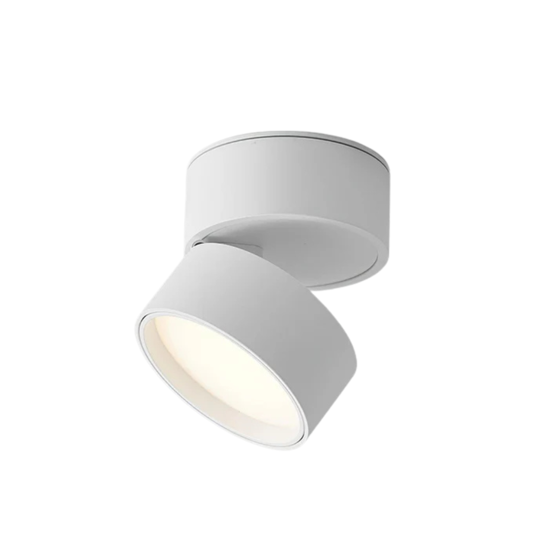Somos - Lampada da soffitto LED regolabile