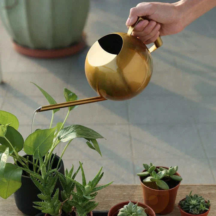 PlantFlow – Elegante annaffiatoio sferico snodato perfetto per piante delicate