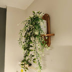 2pcs Mensola in Legno con Retro Curvo Flottante