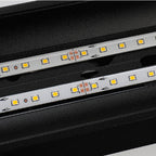 Ray Minimalista Linea Metallo Acrilico Applique da Esterno Nero