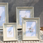 Collezione di Cornici Werri