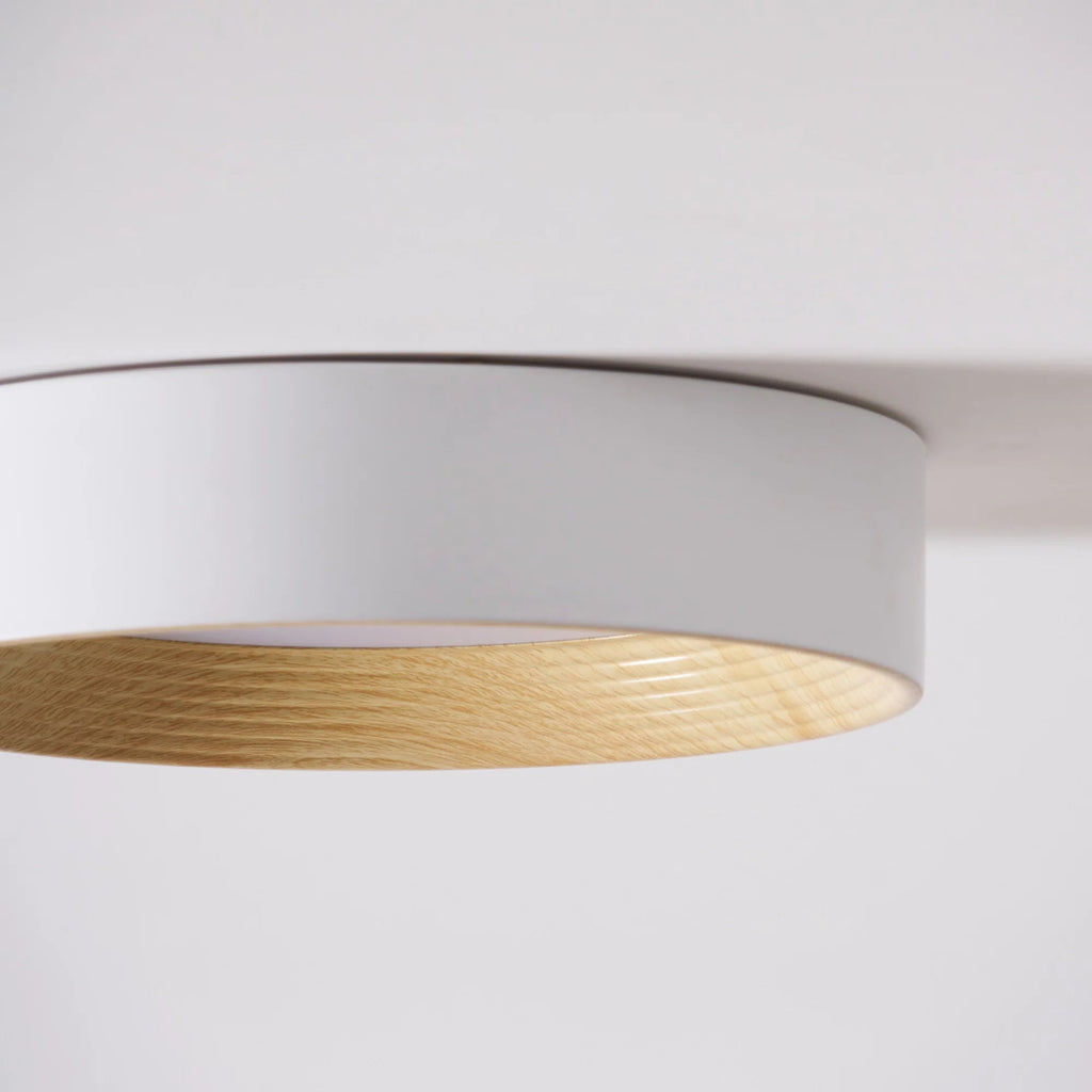 Lampada da Soffitto Circolare Acrilica di Tendenza