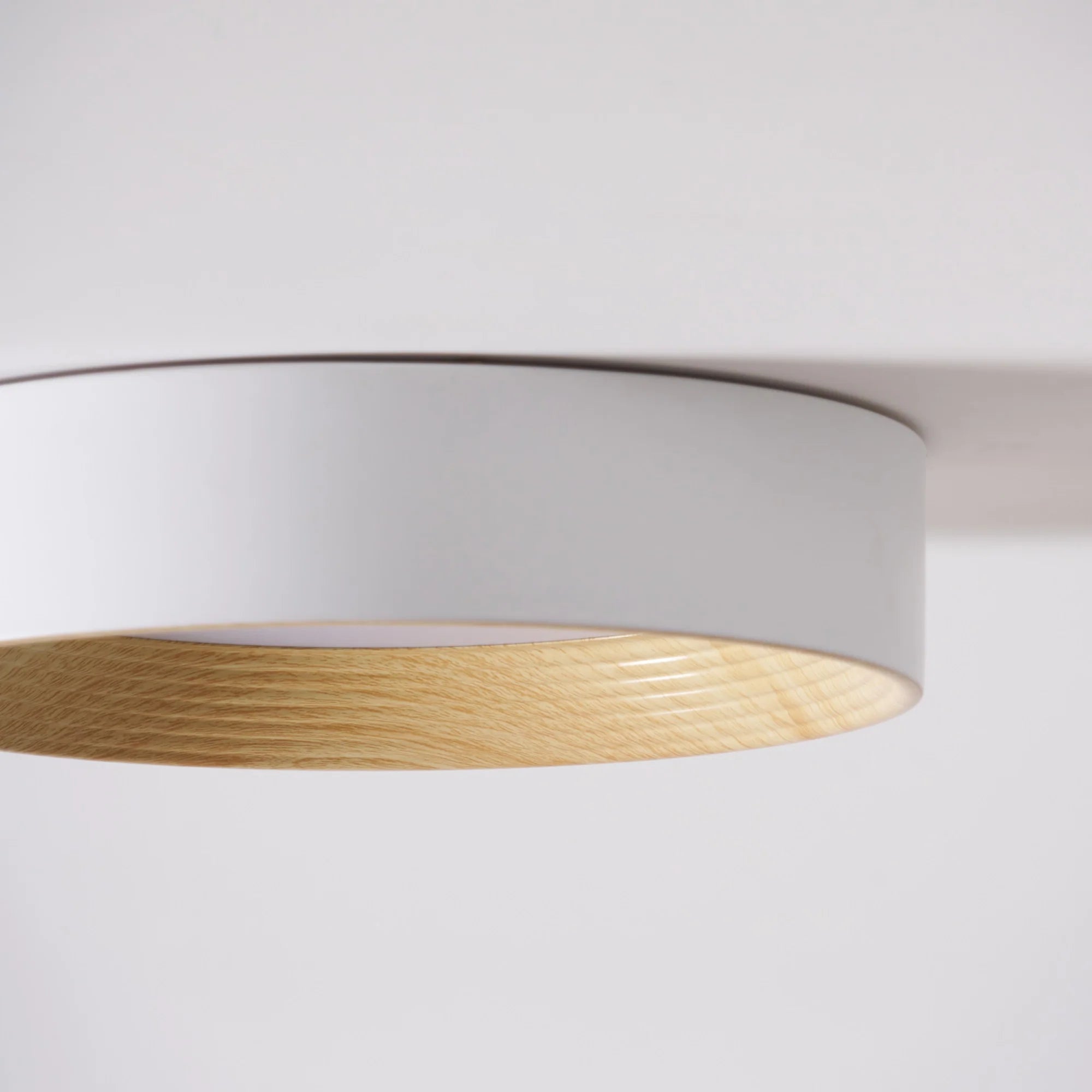 Lampada da Soffitto Circolare Acrilica di Tendenza