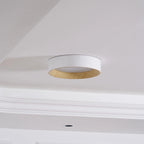 Lampada da Soffitto Circolare Acrilica di Tendenza