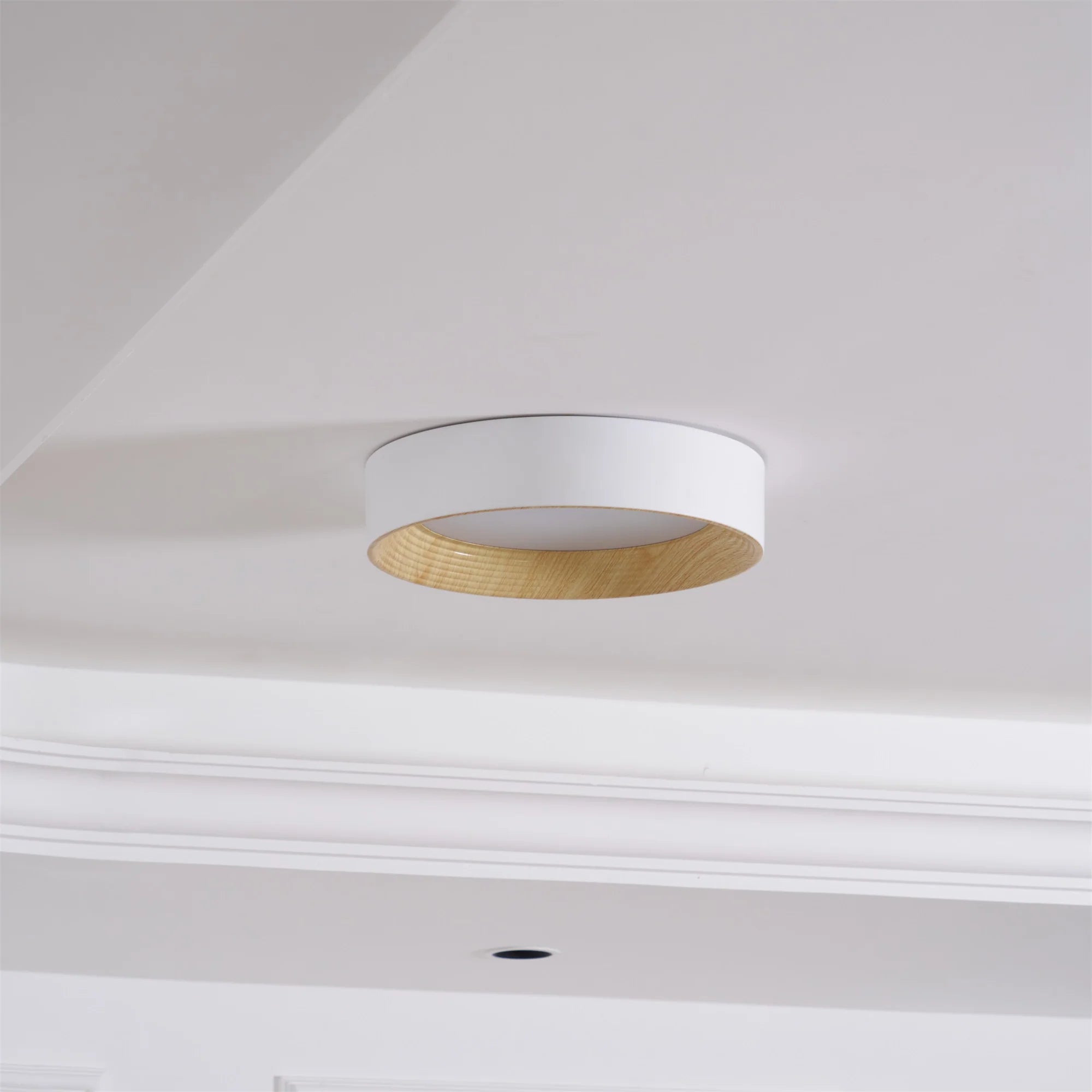 Lampada da Soffitto Circolare Acrilica di Tendenza