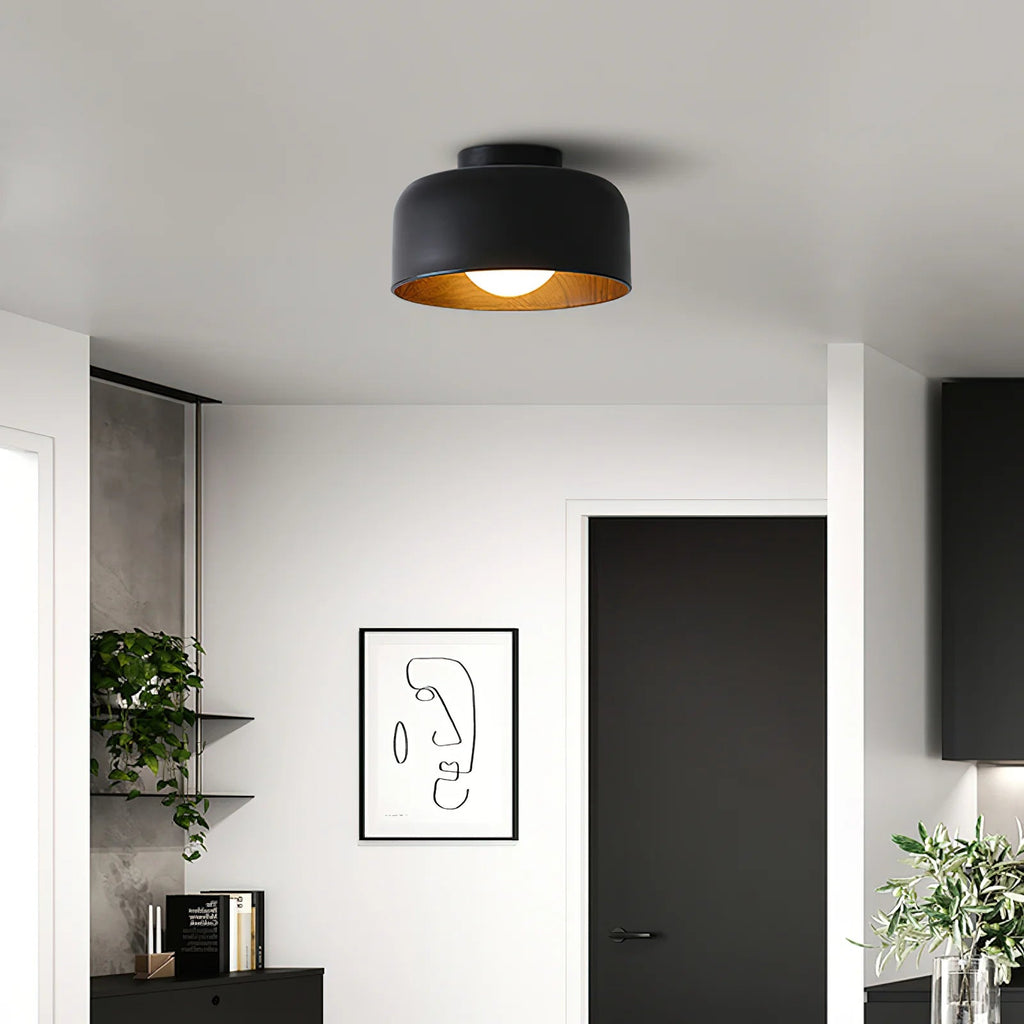 Lampada da soffitto in ferro a cupola semplice