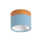 Lampada da soffitto Clairon