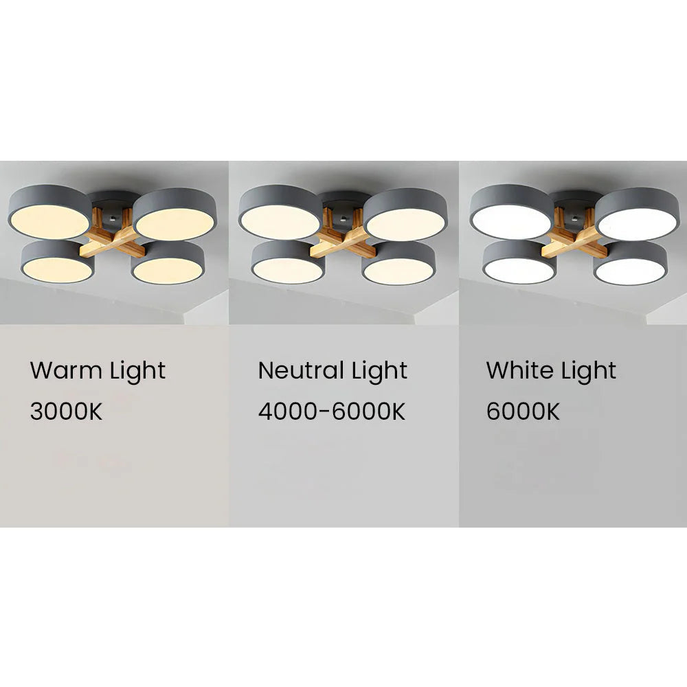 Moderna Lampada da Soffitto Rotonda