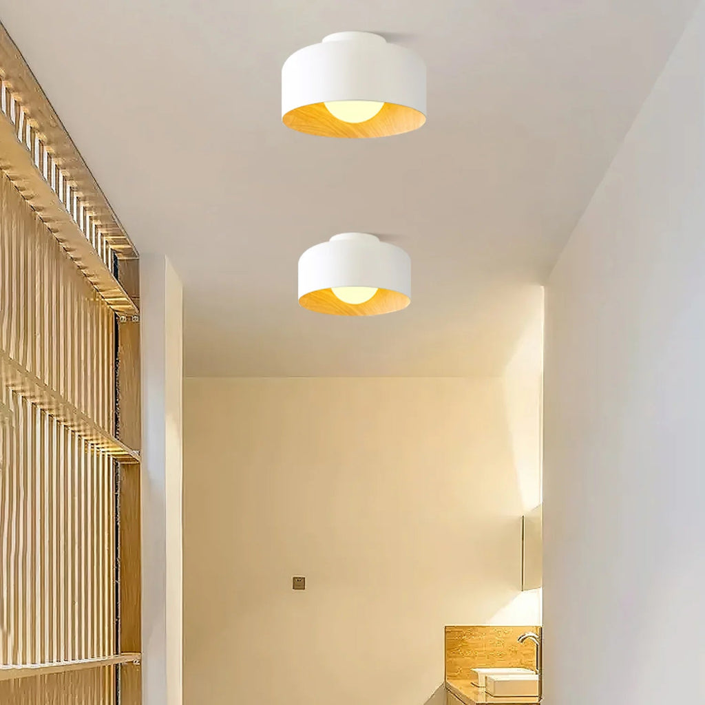 Lampada da soffitto in ferro a cupola semplice