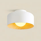 Lampada da soffitto in ferro a cupola semplice