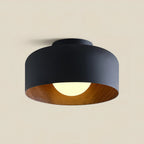 Lampada da soffitto in ferro a cupola semplice