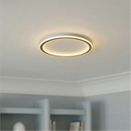 Lampade da soffitto rotonde chic