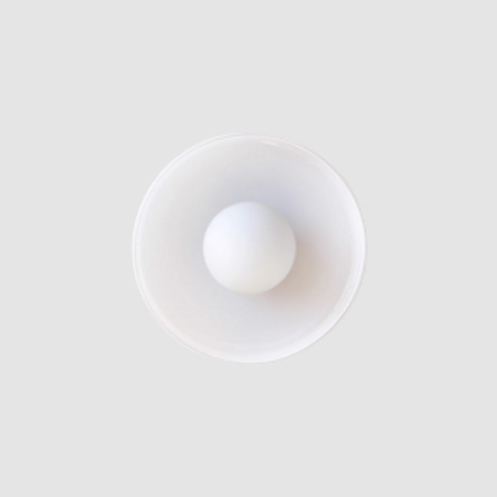 Flush Mount - Lampada da Soffitto per Illuminazione Interna