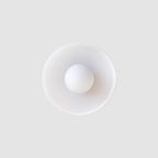 Flush Mount - Lampada da Soffitto per Illuminazione Interna