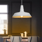 Lampadario Pendente Industriale Contemporaneo in Ferro a 1 Luce per Soggiorno