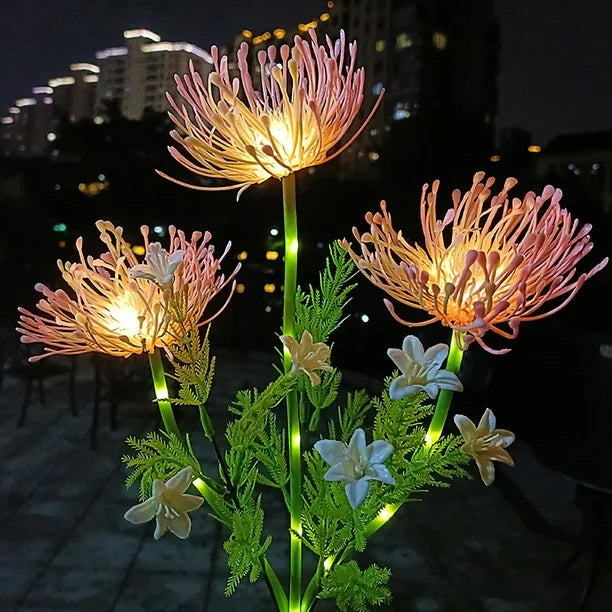 Fiori Fatati per Esterni