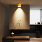 Lampada da soffitto LED cilindrica semplice nordica