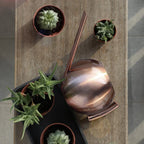 PlantFlow – Elegante annaffiatoio sferico snodato perfetto per piante delicate