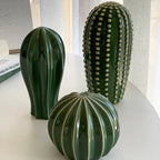 Ornamento Cactus di Acapulco