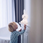 Figura decorativa di coniglio | Design iconico delle figure