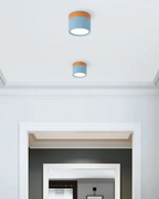 Lampada da soffitto Clairon