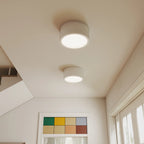 Lampada da Soffitto Semplice in Stile Nordic