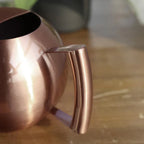 PlantFlow – Elegante annaffiatoio sferico snodato perfetto per piante delicate