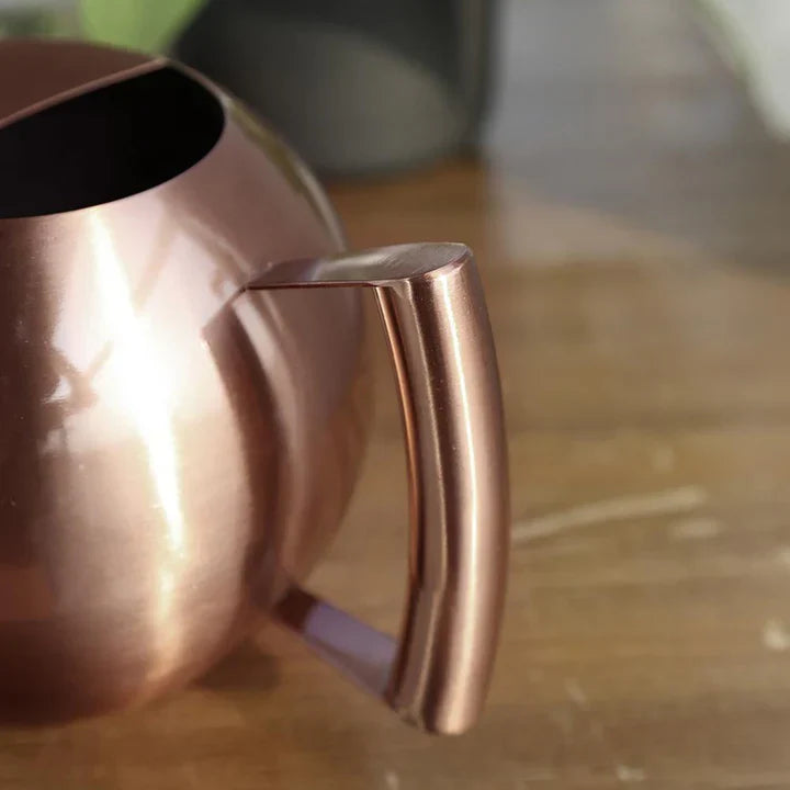 PlantFlow – Elegante annaffiatoio sferico snodato perfetto per piante delicate