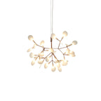 Lampadario in Acrilico a Petali di Rosa Modish