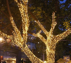 LumiFest Illuminazione Natalizia LED – 10M / 50M / 100M