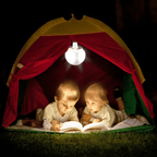 Lampada da Esterno Solare (LED)