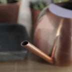 PlantFlow – Elegante annaffiatoio sferico snodato perfetto per piante delicate