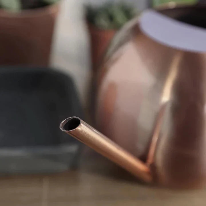 PlantFlow – Elegante annaffiatoio sferico snodato perfetto per piante delicate