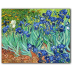 Arte Murale di Vincent Van Gogh