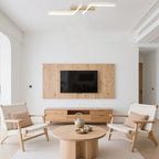 Moderna Semplice Luce da Soffitto LED in Alluminio Nero