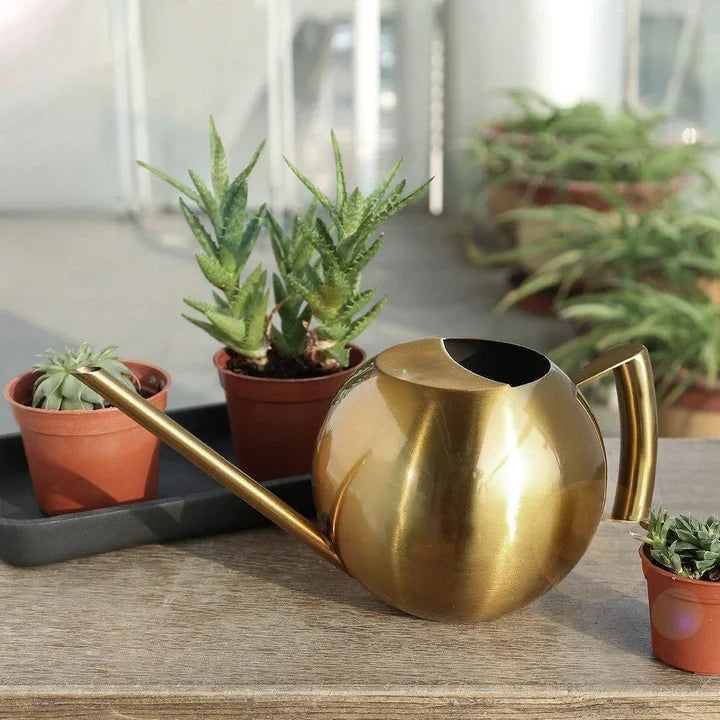 PlantFlow – Elegante annaffiatoio sferico snodato perfetto per piante delicate