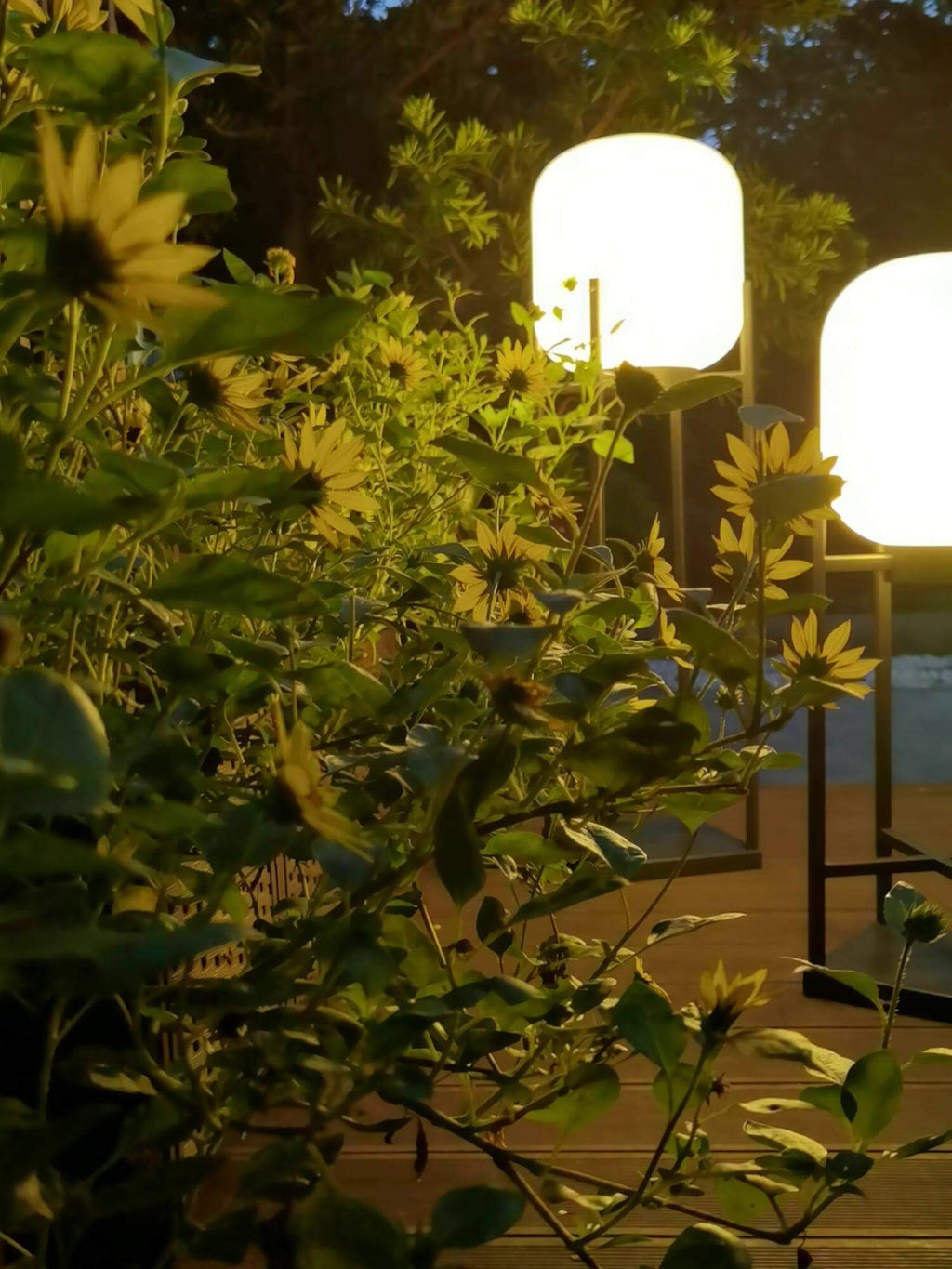 Lampada da Terra Solare per Esterni – Illuminazione Sostenibile per Giardini e Terrazzi