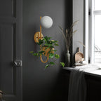 Sfera 1-Luce Scatola di Stoccaggio Vaso da Piante Decorazione Applique Lampade