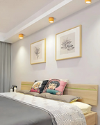 Lampada da soffitto Clairon