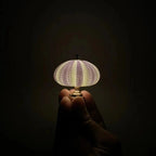 Lampada notturna fai-da-te a forma di riccio di mare