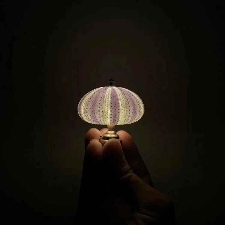 Lampada notturna fai-da-te a forma di riccio di mare