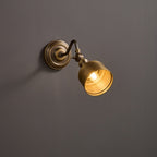 Lampada da Parete Addison Gooseneck